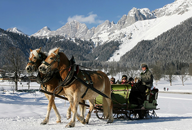 Eine romantische Pferdeschlittenfahrt mit Ihren Liebsten