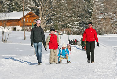 Winterwanderwege in Ramsau/Dachstein